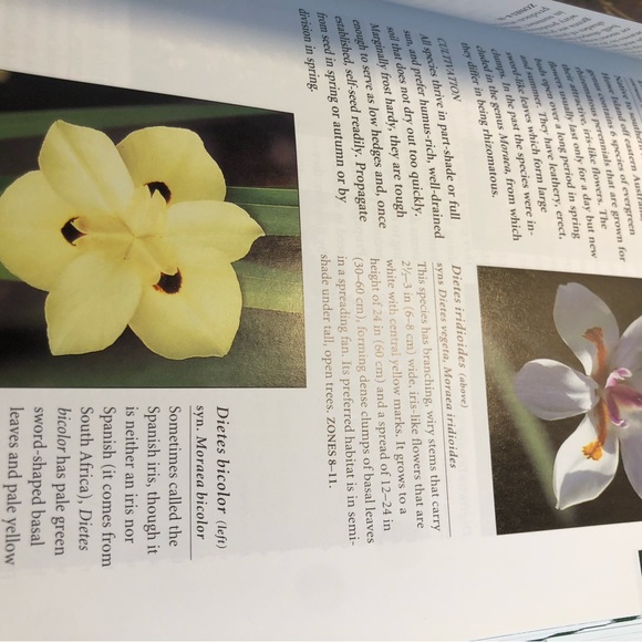 Botanicals Pocket Guide, really great book to help identify over 2000 plants - Picture 11 of 16